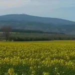 Gartenwohnung In Hasselfelde Prázdninový dům