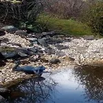 Prázdninový dům Gartenwohnung In Hasselfelde