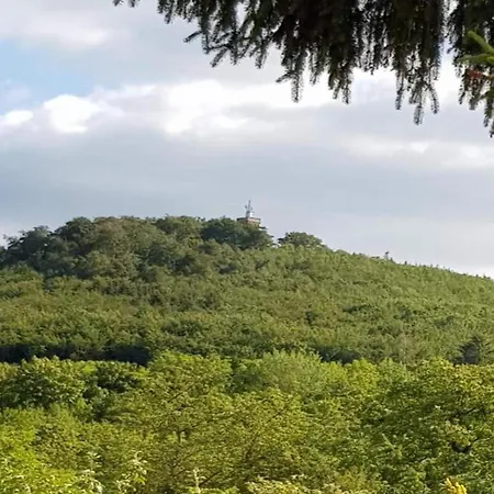 In Hasselfelde With Private Terrace Дом отдыха Stiege