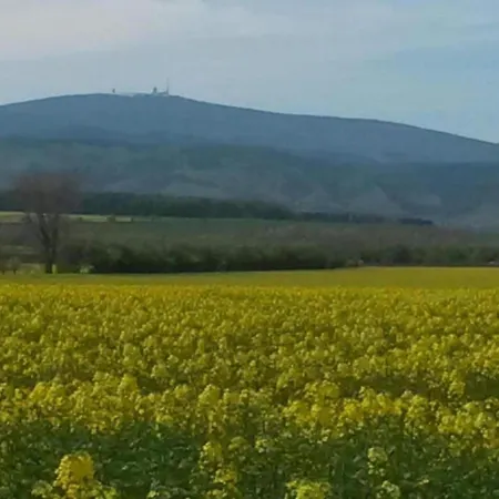 Дом отдыха In Hasselfelde With Private Terrace Stiege