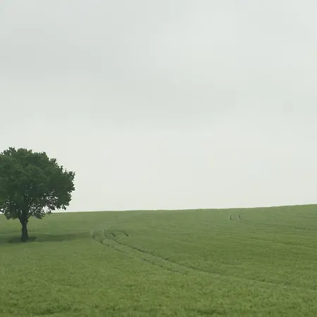 Gartenwohnung In Hasselfelde 度假居 Stiege