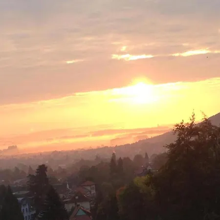 Gartenwohnung In Hasselfelde Tatil Evi