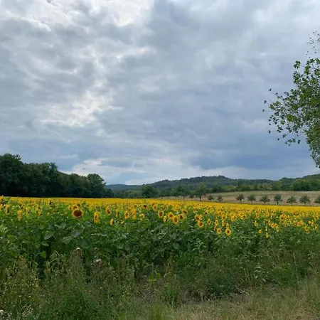 Holiday home Gartenwohnung In Hasselfelde
