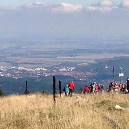 Gartenwohnung In Hasselfelde * Stiege
