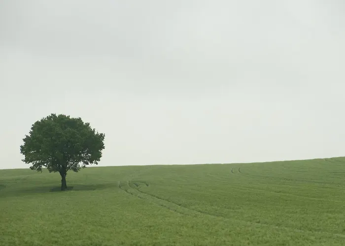 Gartenwohnung In Hasselfelde Prázdninový dům Stiege