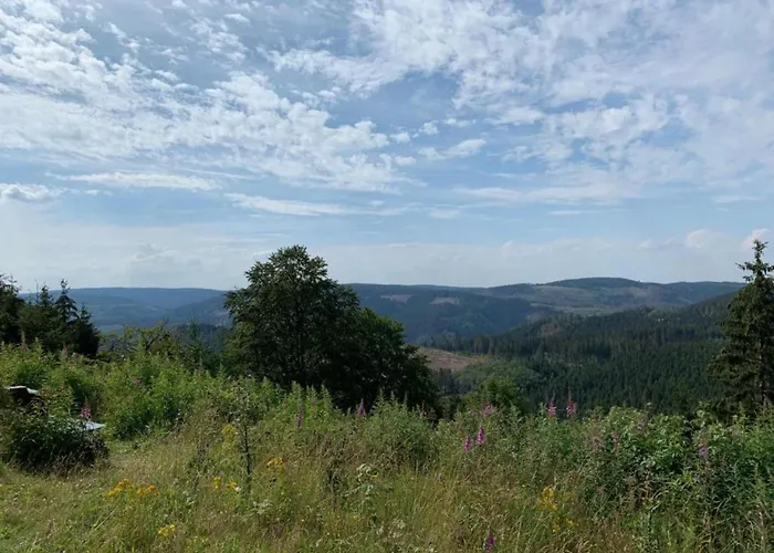 Gartenwohnung In Hasselfelde Дом отдыха Stiege