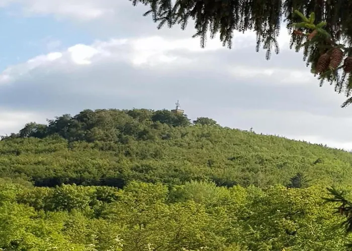 Prázdninový dům Gartenwohnung In Hasselfelde