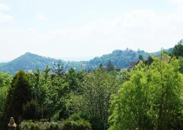 Gartenwohnung In Hasselfelde
