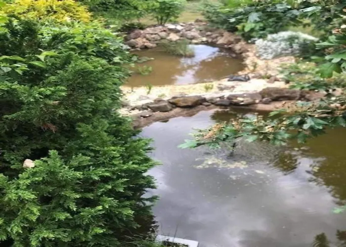 Дом отдыха Gartenwohnung In Hasselfelde *