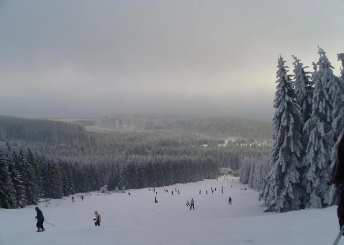 Gartenwohnung In Hasselfelde Stiege