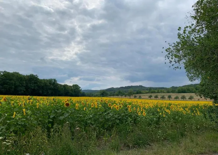 Prázdninový dům Gartenwohnung In Hasselfelde