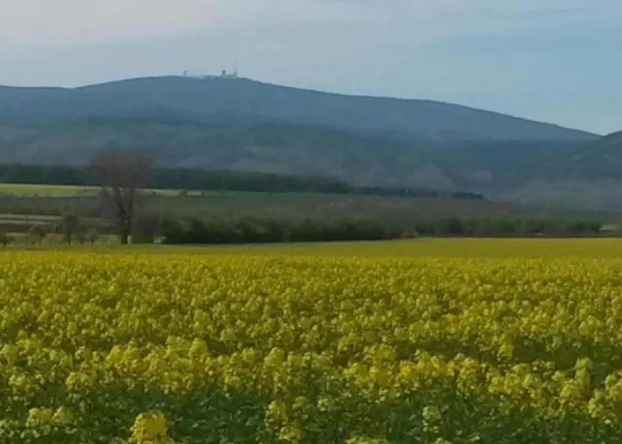 Gartenwohnung In Hasselfelde Дом отдыха