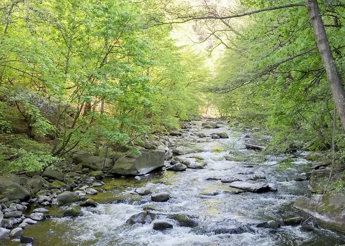 Gartenwohnung In Hasselfelde Дом отдыха *
