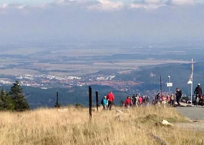 Gartenwohnung In Hasselfelde * Stiege